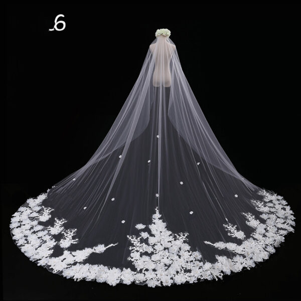 Bride Wedding Master Wedding Veil Long Long Tail - Image 2