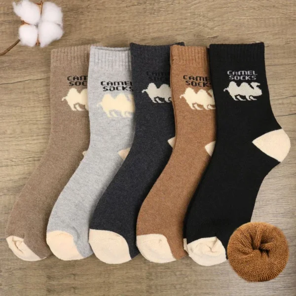 5 Pairs Men Winter Socks Thickened Fleece Terry Casual Comfortable Calcetines Keep Warm High Quality Long Socks For Men - Image 2