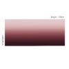 Modal Thin Gradient Scarf For Women - Image 2