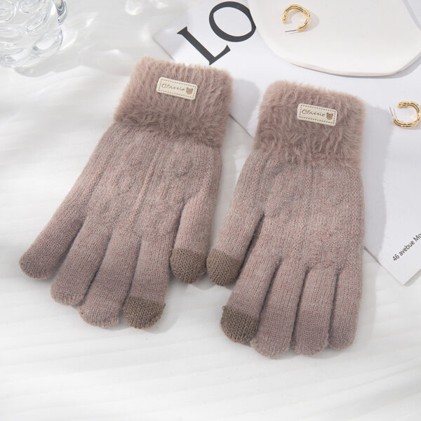 Student Riding Thickened Warm Double-layer Touch Screen Gloves - Image 9